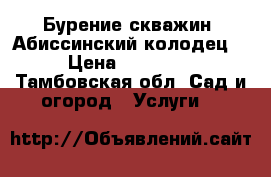 Бурение скважин (Абиссинский колодец) › Цена ­ 15 000 - Тамбовская обл. Сад и огород » Услуги   